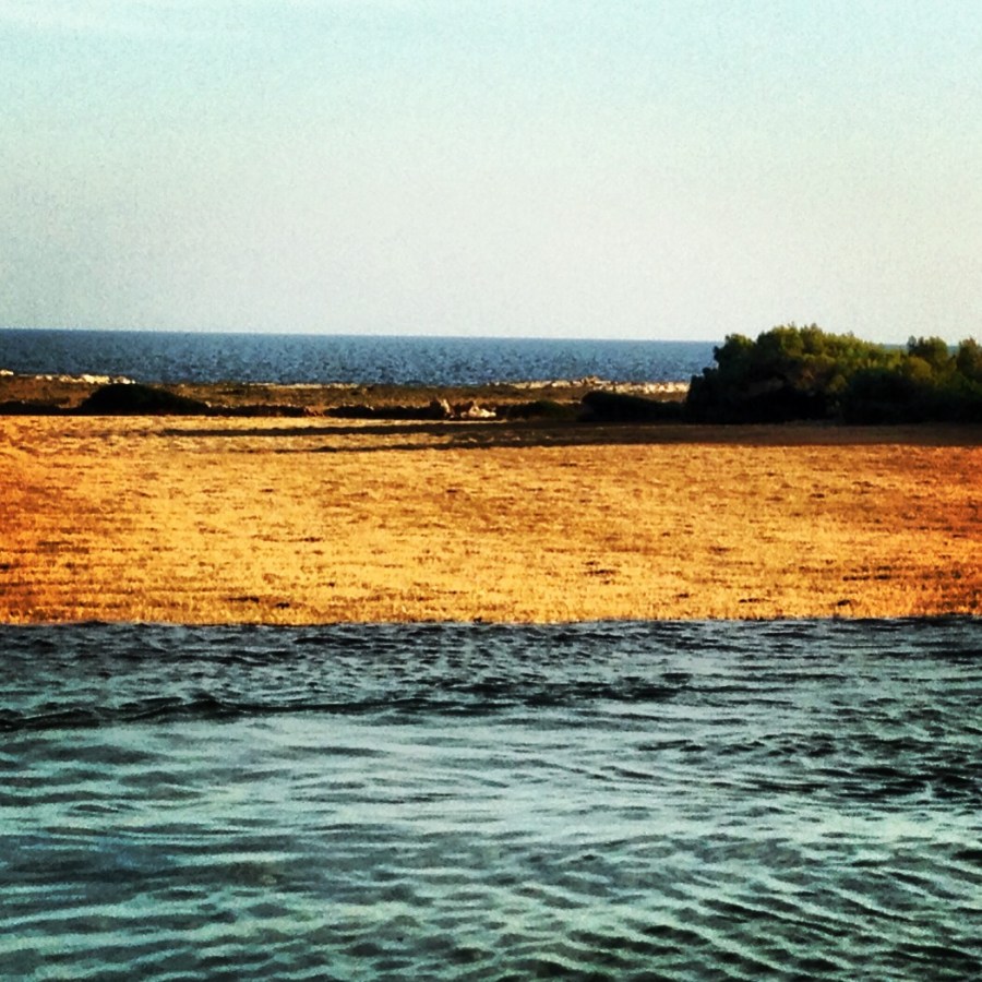 Finca atalis piscina