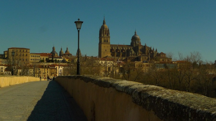 Vista do centro de Salamanca e a Catedral desde a ponte romana 